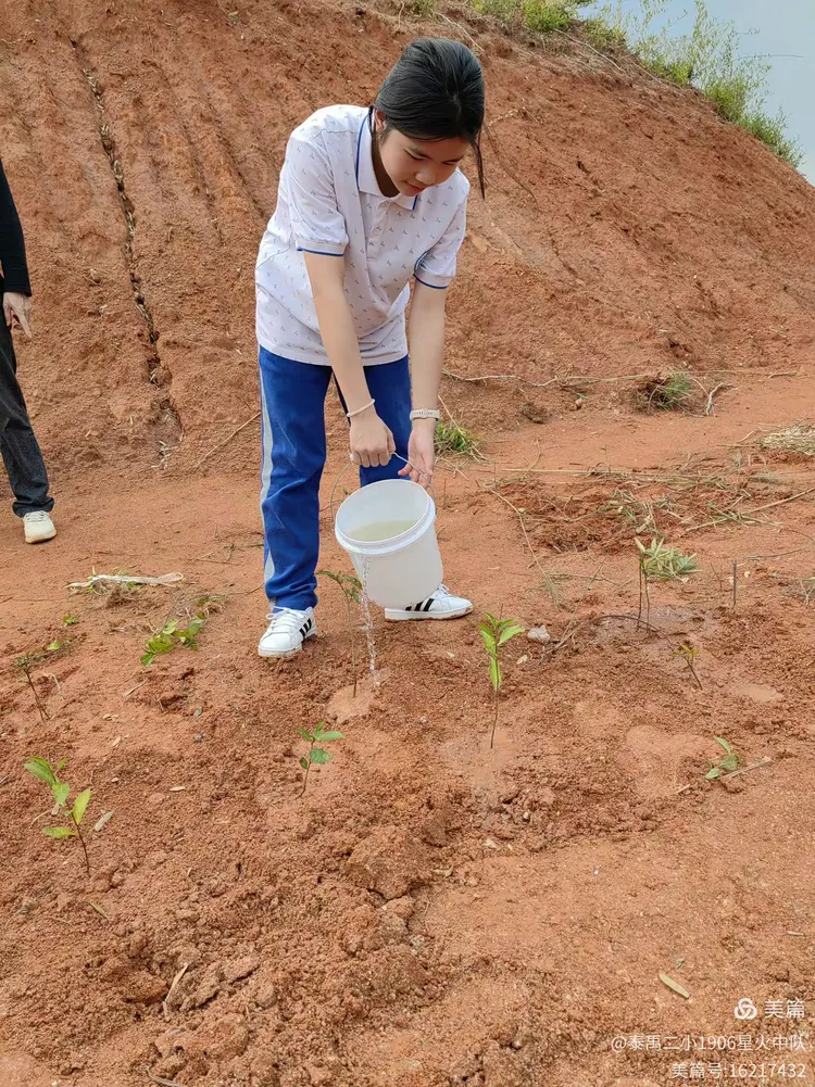 播种希望 向阳生长